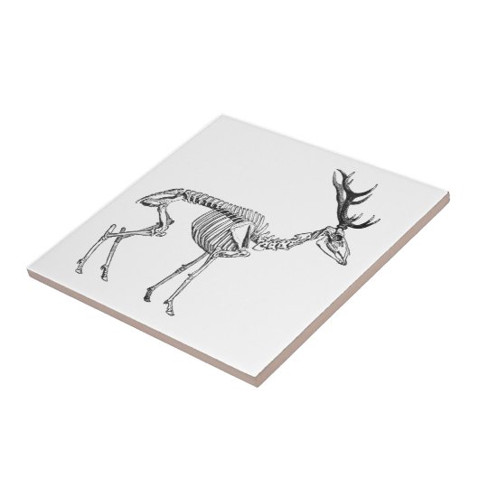 Spooky skelet rendiertekening tegeltje (Zijkant)