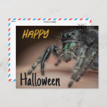 Spooky Spider Halloween Groet