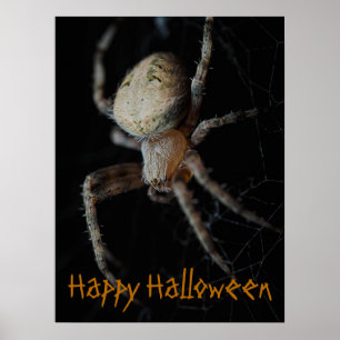 Spooky Spider Web - Halloween Poster