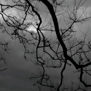 SPOOKY TREES HAPPY HALLOWEEN Gevouwen Wenskaart Kaart