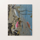 Spoon Bill Wood Stork Florida Legpuzzel (Verticaal)