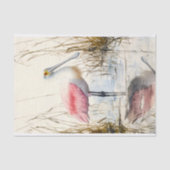 Spoonbill 1 Decoupage Papier (Voorkant)