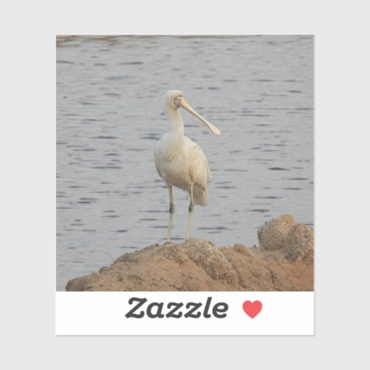 Spoonbill Bird Sticker (Vel)