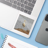 Spoonbill Bird Sticker (Laptop met iPhone)