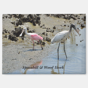 Spoonbill en houtooievaar in het wild magneet