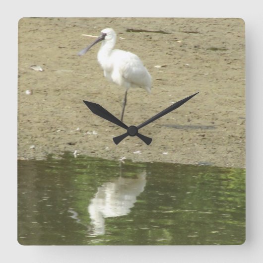 Spoonbill Klok (Voorkant)