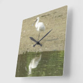 Spoonbill Klok (Hoek)