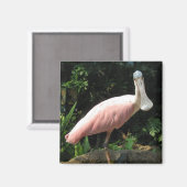 Spoonbill Magneet (Voorkant / Achterkant)