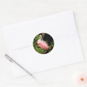 Spoonbill Stickers roze vogel (Envelop)