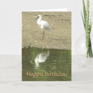 Spoonbill Verjaardag Kaart