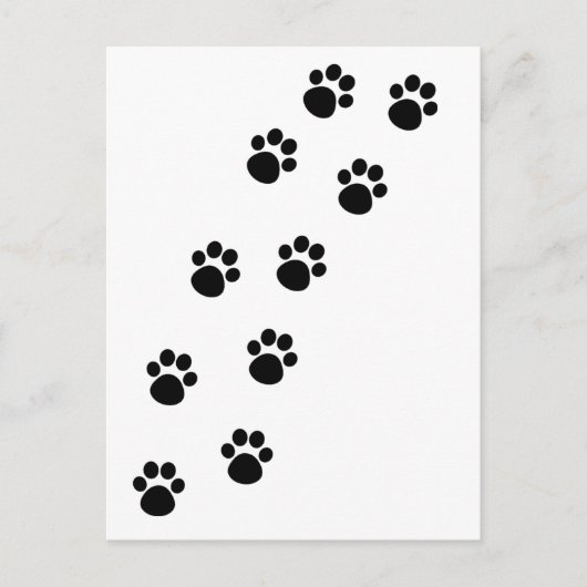 Spoor van Cat Paw-merken Briefkaart (Voorkant)