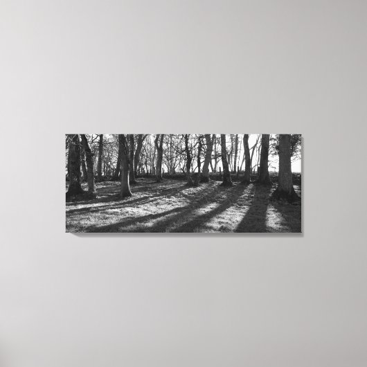 Spoorbomen Canvas Afdruk (Voorkant)