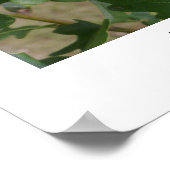 Sporen naar het Poster van Oaks (Hoek)