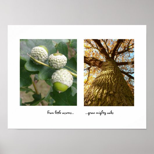 Sporen naar het Poster van Oaks (Voorkant)