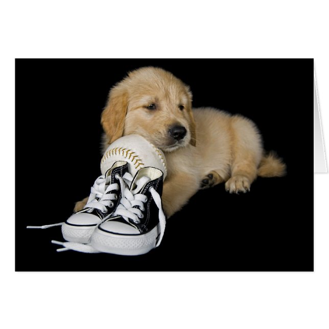 Sport Fan (Voorkant Horizontaal)