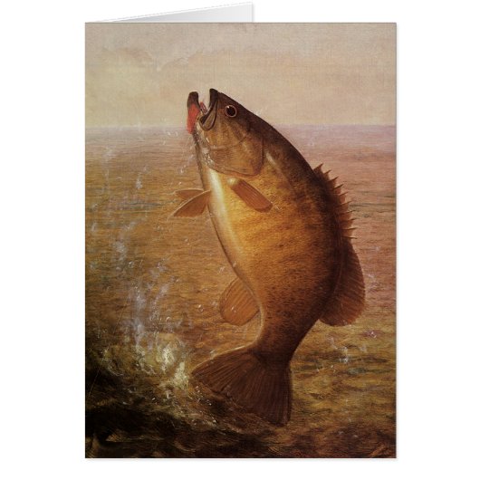  sport Gevist, Largemouth bruine basvis (Voorkant)