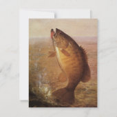 sport Gevist, Largemouth bruine basvis (Voorkant)