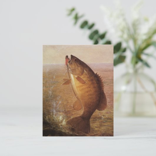 sport Gevist, Largemouth bruine basvis (Staand voorkant)