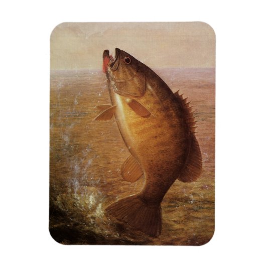  sport Gevist, Largemouth bruine basvis Magneet (Verticaal)