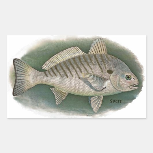 Spot Fish Logo Rechthoekige Sticker (Voorkant)