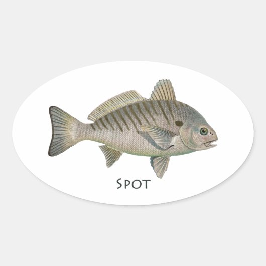 Spot Fish Ovale Sticker (Voorkant)