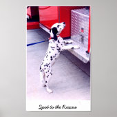 Spot naar de redding poster (Voorkant)