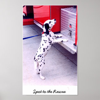 Spot naar de redding poster