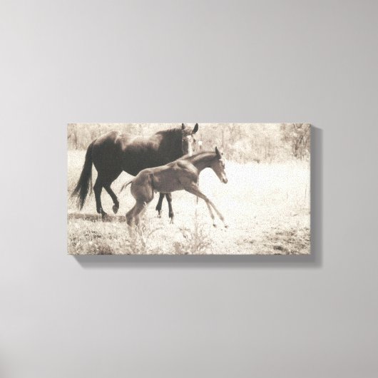 Spot Plays Canvas Afdruk (Voorkant)