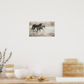 Spot Plays Poster (Keuken)