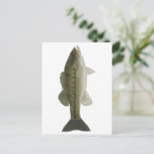 Spotas Briefkaart (Staand voorkant)