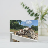 SpotFoal Briefkaart (Staand voorkant)