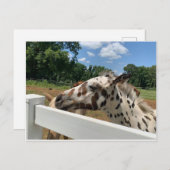 SpotFoal Briefkaart (Voorkant / Achterkant)