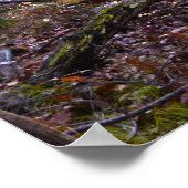 Spotlicht op een pomp poster (Hoek)