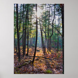 Spotlicht op een pomp poster