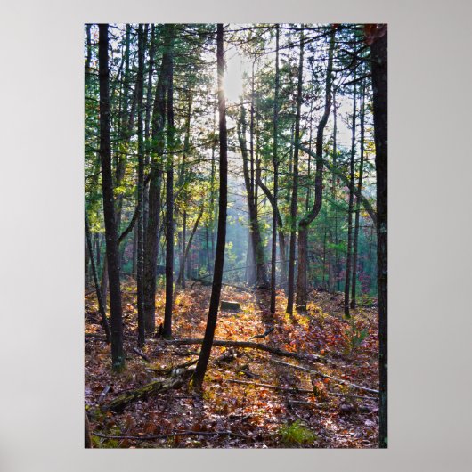 Spotlicht op een pomp poster (Voorkant)