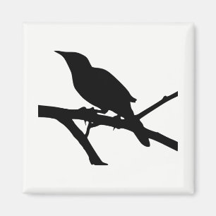 Spotlijster silhouet magneet