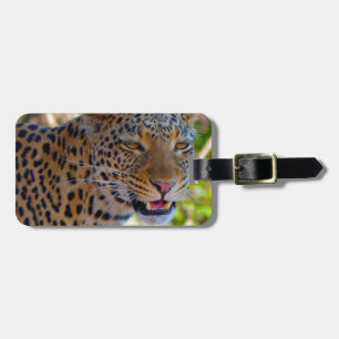 Spotlood Leopard Bagagelabel