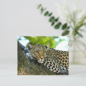 Spotlood Leopard Briefkaart (Staand voorkant)