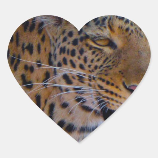 Spotlood Leopard Hart Sticker (Voorkant)