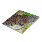 Spotlood Leopard Tegeltje (Zijkant)