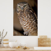 Spotoraal Poster (Keuken)