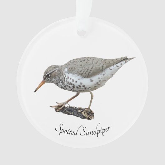 Spotsandpiper Ornament (voorkant)