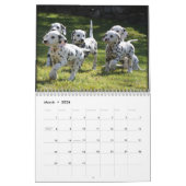 SpotShot Photography's kalender voor 2012 (Mar 2026)