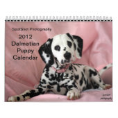 SpotShot Photography's kalender voor 2012 (Hoes)