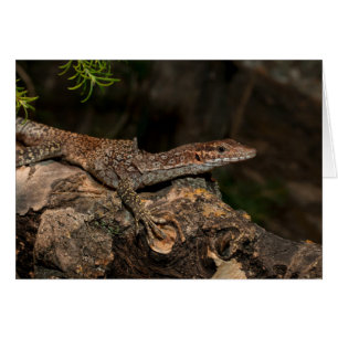 Spotstructuurmonitor