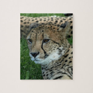 Spotted Cheetah Puzzle Legpuzzel