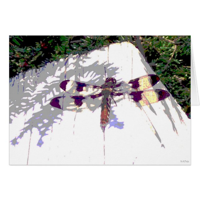 Spotted Dragonfly (Devant horizontal)