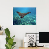 Spotted Eagle Ray Poster (Thuiskantoor)