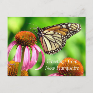 Spotted Oranje Butterfly_Greetings van NH Briefkaart