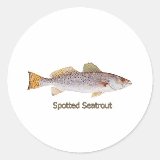 Spotted Seatrout (getiteld) Ronde Sticker (Voorkant)
